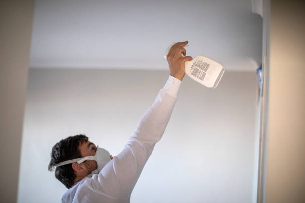 Best Best Mold Removal Companies  in Richmond Hill, GA