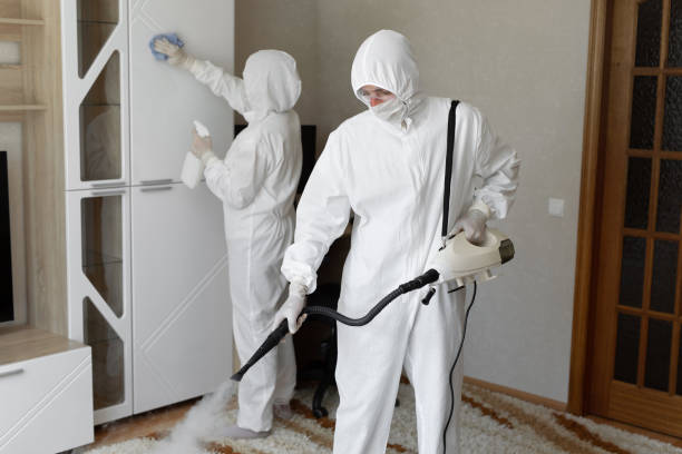 Best Mold Damage Repair  in Richmond Hill, GA