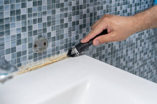 Best Mold Remediation  in Richmond Hill, GA