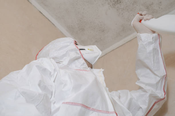 Best Mold Testing  in Richmond Hill, GA
